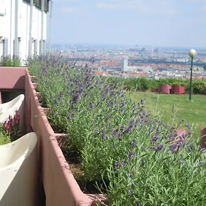  Hostel Palace Austria